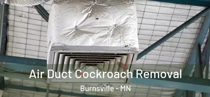 Air Duct Cockroach Removal Burnsville - MN