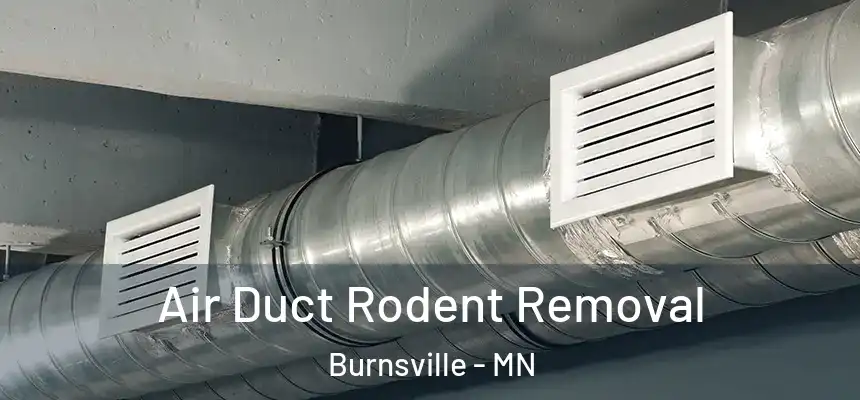  Air Duct Rodent Removal Burnsville - MN