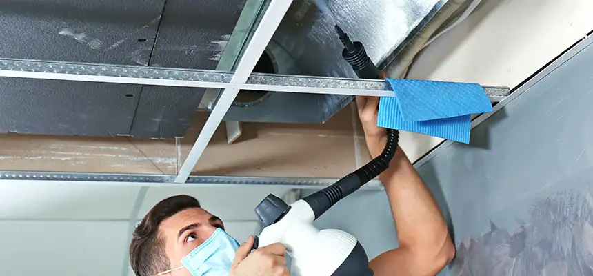 Our Air Duct Rodent Removal Services in Burnsville, MN