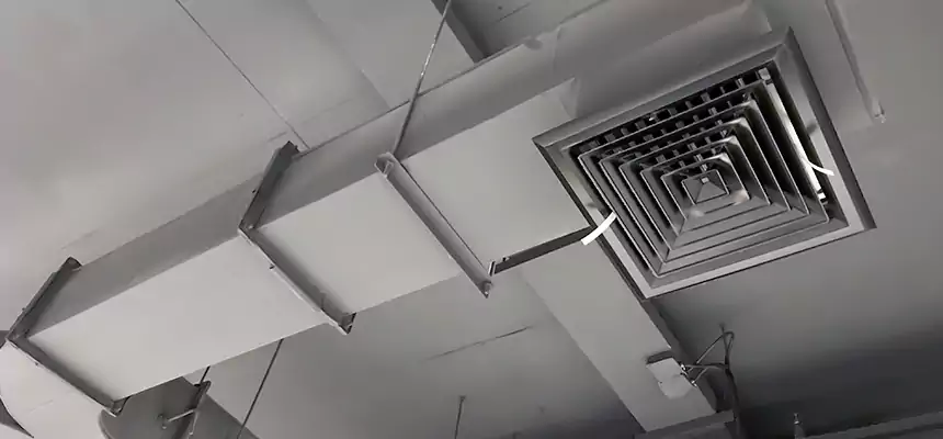 Restorative Allergy Relief Vent Cleaning – Coil, Blower & Housing Detail in Burnsville