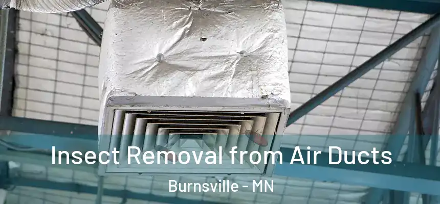 Insect Removal from Air Ducts Burnsville - MN