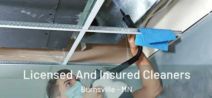Licensed And Insured Cleaners Burnsville - MN