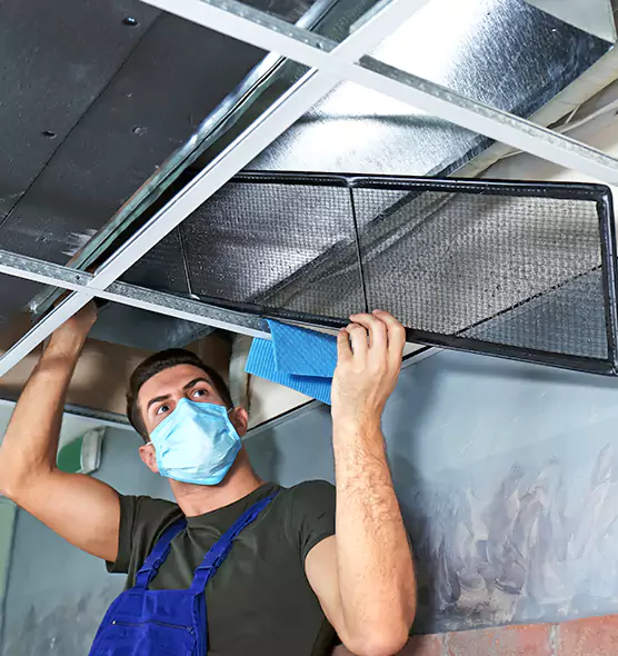Professional Air Duct Pollen Cleaning in Burnsville, MN