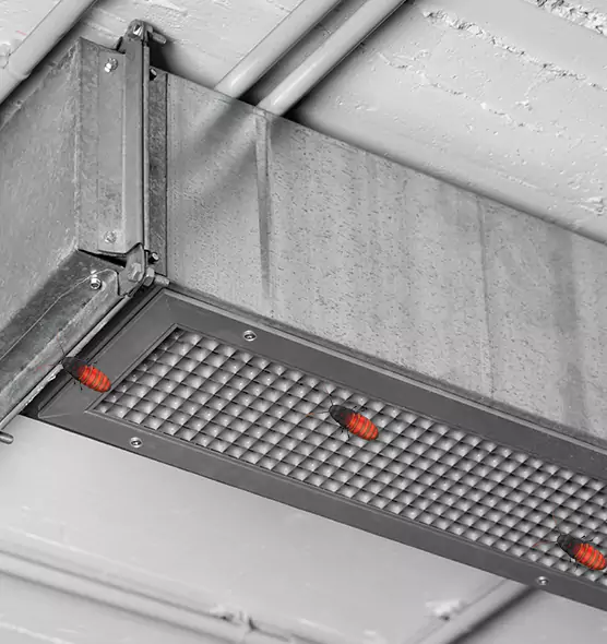 Affordable Insect Removal from Air Ducts in Burnsville, MN