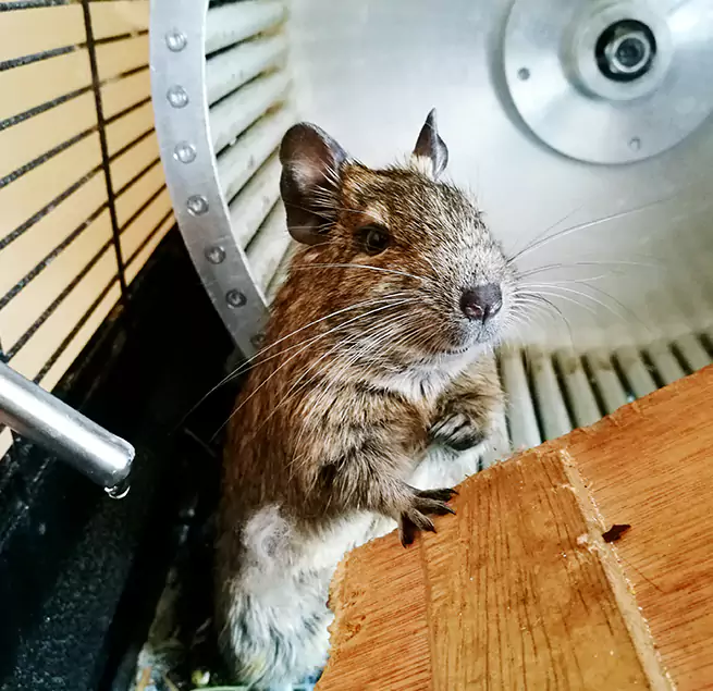 Why Homeowners & Businesses Trust Us Burnsville, MN