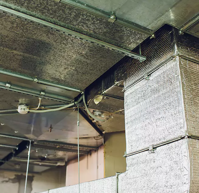 Why Homeowners & Businesses Trust Us in Burnsville, MN?